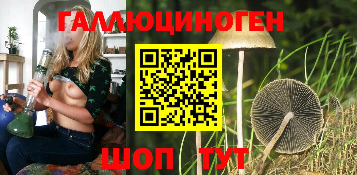 Киселёвск  наркотики  Вход с VPN  Псилоцибиновые грибы прущие грибы 